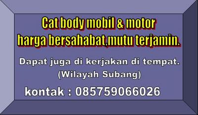 Cat mobil2